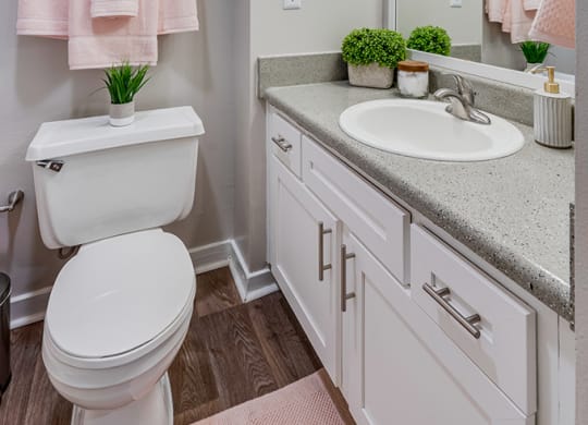 Large Bathroom Vanity with White Cabinetry