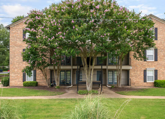 Lush Greenery in Front of a building at The DeSoto