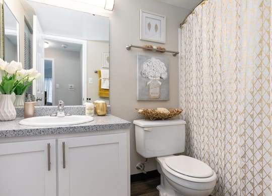 Bathroom with Hardwood Style Flooring and Large White Vanity with Stone Top