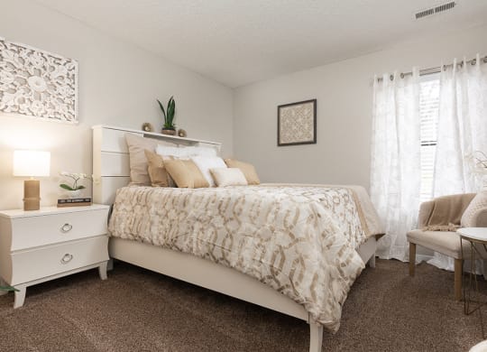 Bedroom with Plush Carpeting and Large Window
