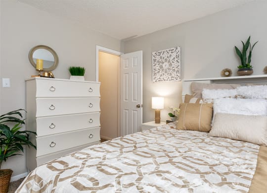 Bedroom with Plush Carpeting and Grey Beige Wall Colors