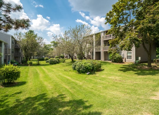 Large Grass Area Behind Apartment Homes