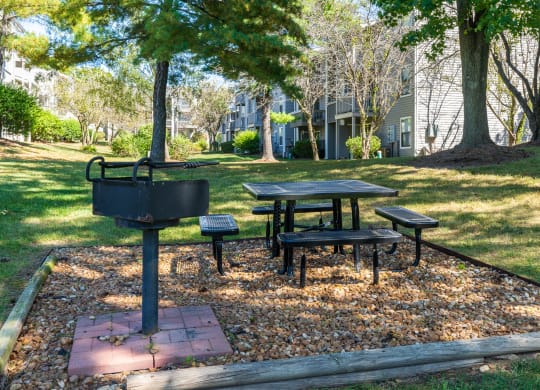 Outdoor Grilling and Picnic Area