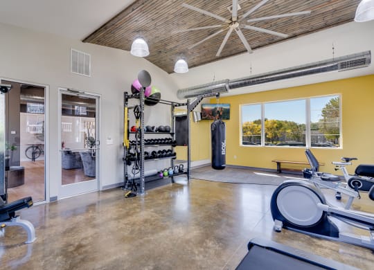 Free Weights at the Fitness Center