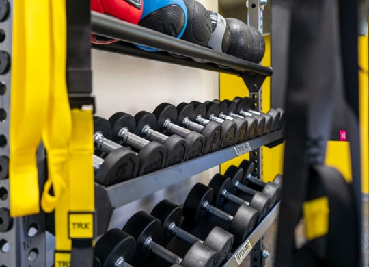 Free Weights and TRX Bands at the Fitness Center