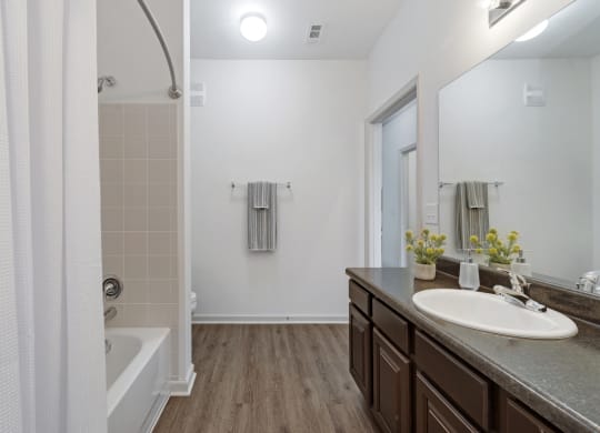 Bathroom with Modern Finishes
