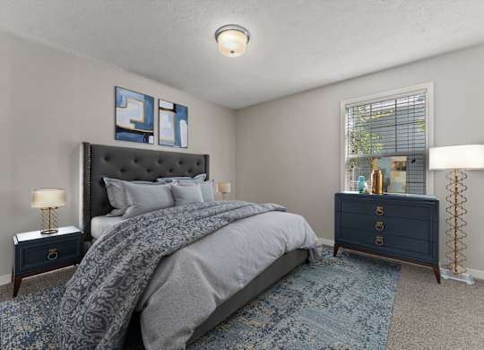 Bedroom with Plush Carpeting