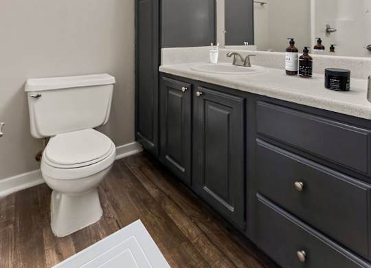 Bathroom with Modern Finishes