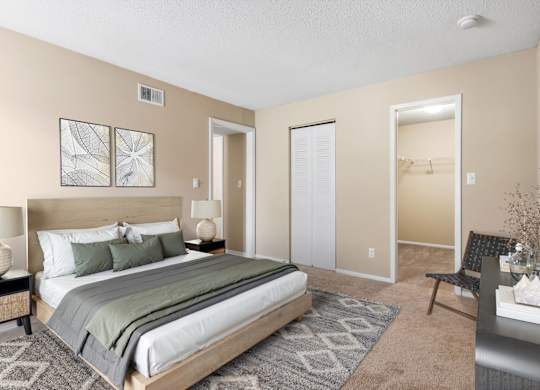 Bedroom With Walk-In Closet