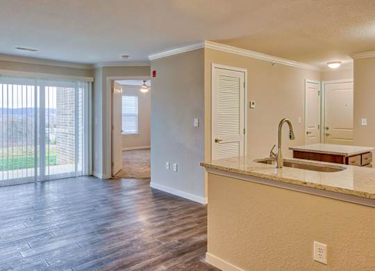 Kitchen with Wood-Style Flooring