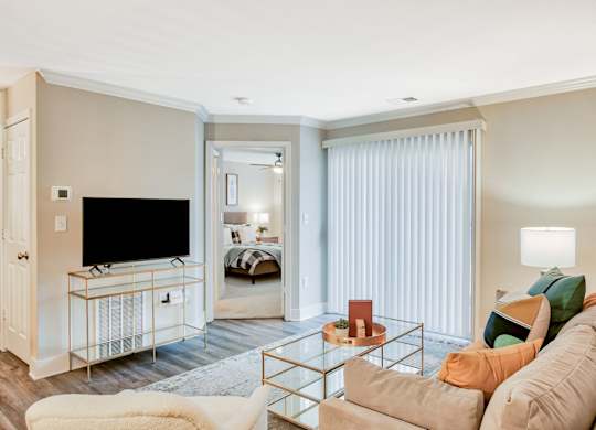 Spacious Living Area With Wood-Style Flooring