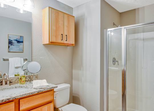 Bathroom with Modern Finishes