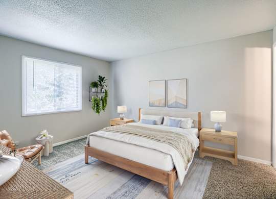 Bedroom with Plush Carpeting