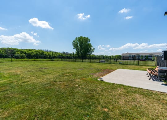 Fenced-In Dog Park
