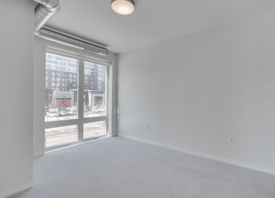 Bedroom with Plush Carpeting