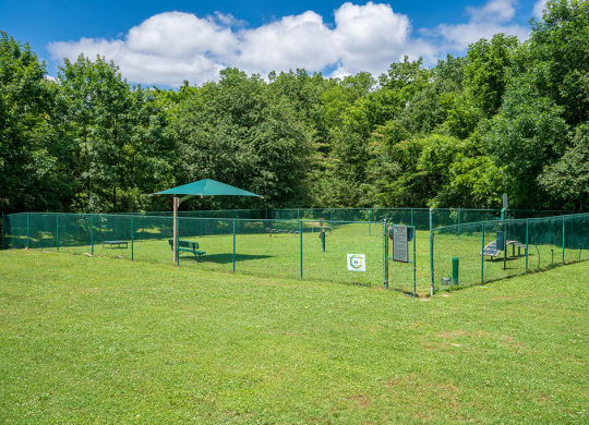 Fenced In Dog Park
