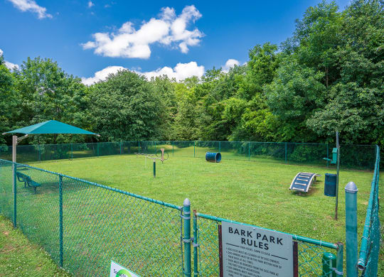 On-Premise Dog Park with Play Equipment