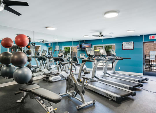 Cardio Equipment in the Fitness Center