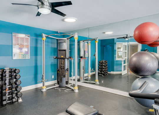Weight Equipment in the Fitness Center