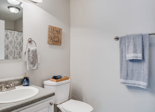 Bathroom with Hardwood Style Flooring