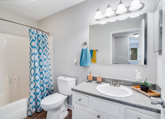 Bathroom with Shower and Tub