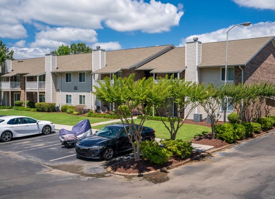 Tree Lined Parking Lot