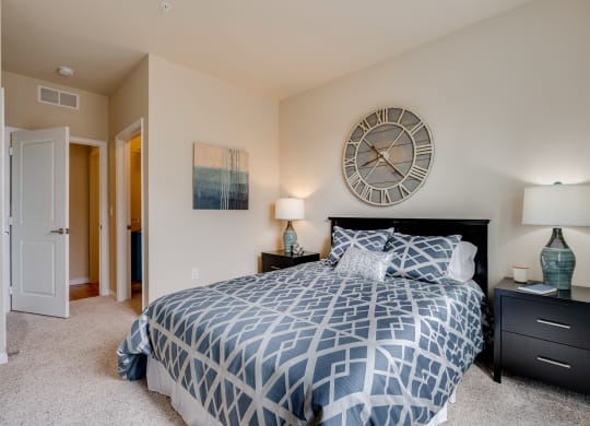 Bedroom With Walk-In Closet