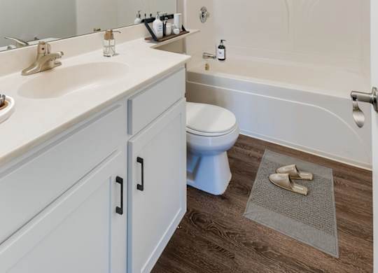 Bathroom with Modern Finishes