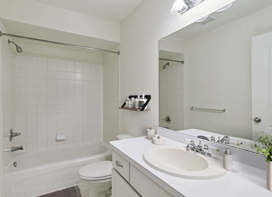 Bathroom with Modern Finishes