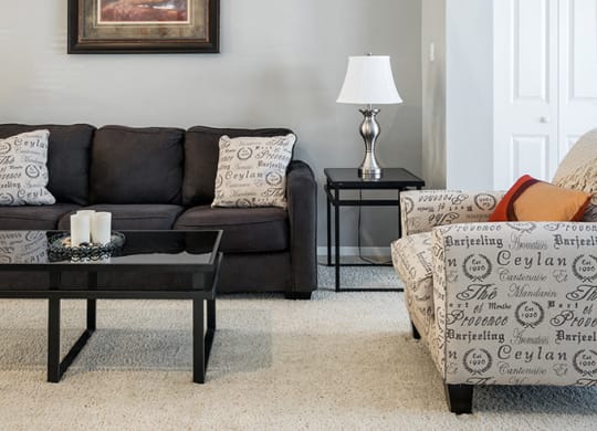 Carpeted Living Room with Light Grey Walls