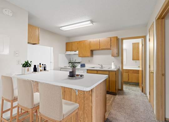 Kitchen with Wood Cabinets