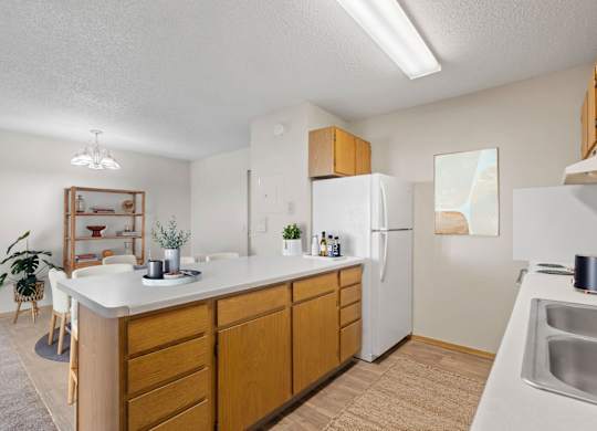 Kitchen with Wood Cabinets