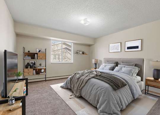 Bedroom with Plush Carpeting