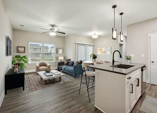 Spacious Living Area With Wood-Style Flooring