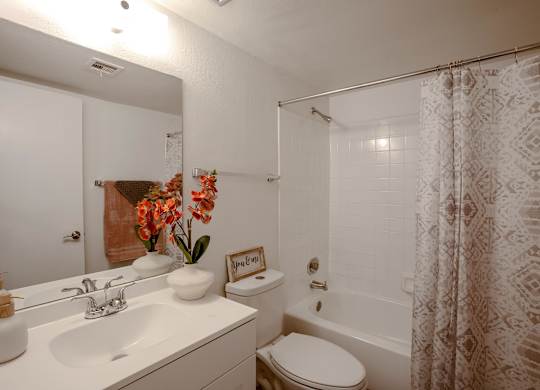 A white bathroom with a toilet, sink, and shower.