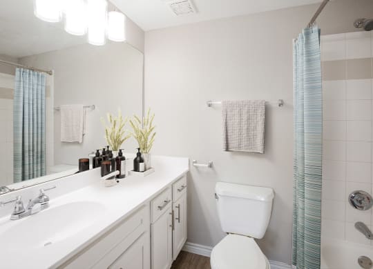Bathroom at Links at Forest Creek in Round Rock Texas near Austin