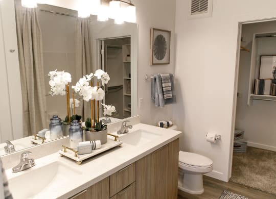 Bathroom at The Aster at Mountain Vista Apartments