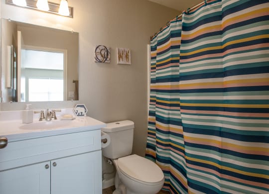 Bathroom at The Bluffs at Tierra Contenta Apartments