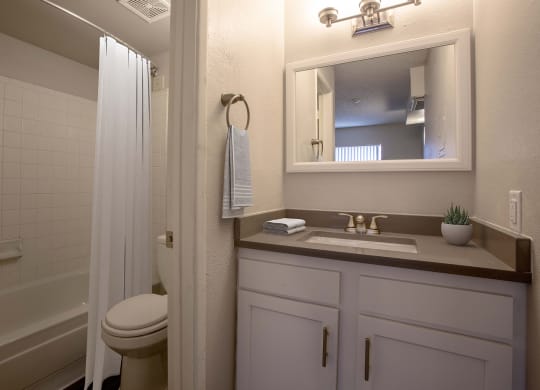 Bathroom at The Link at 4th Ave Apartments