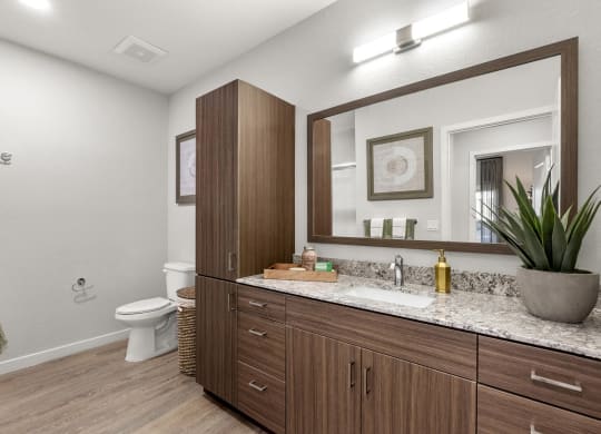 Bathroom with Quartz Counter Tops at Tucson Landing, Tucson, 85714  