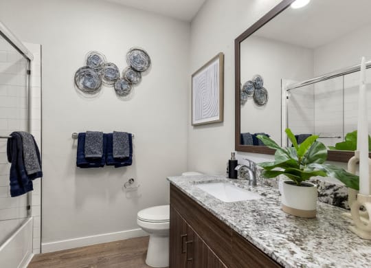 Bathroom with Shower and Bathtub at Tucson Landing, Arizona, 85714
