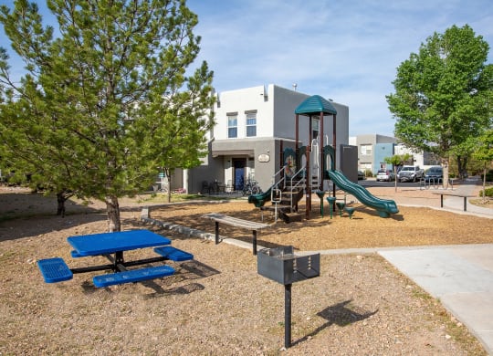 BBQ Grill and Playground Area at The Bluffs at Tierra Contenta Apartments