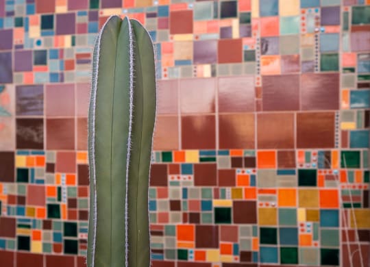 Community Art at Avilla Preserve Apartment Homes in Tucson Arizona