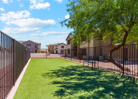 Dog Park at Bella Vita Apartments in Bullhead city Arizona Oct 2023