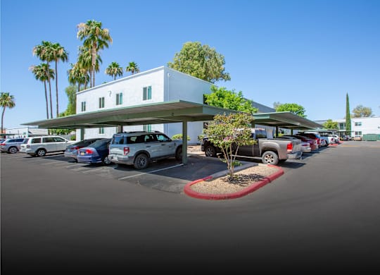 A parking lot with a white building and palm trees in the background.