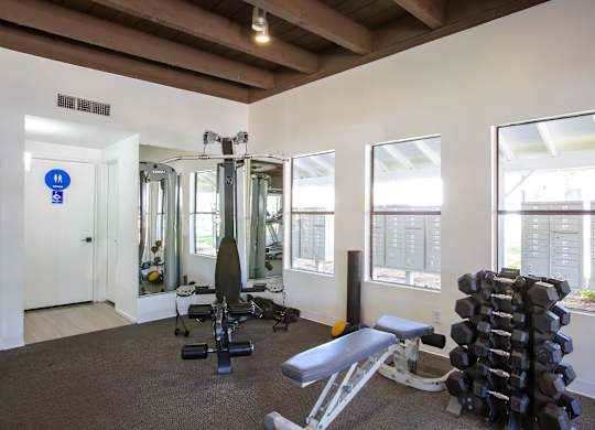 A gym with a variety of equipment including weights and a bench.