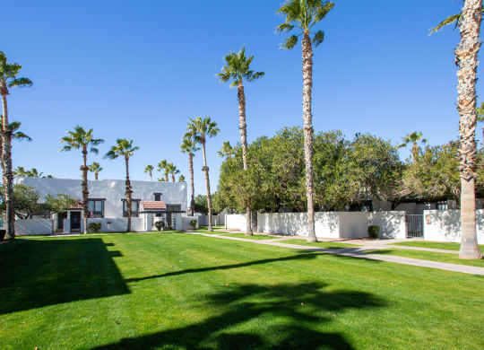 Grass Area at Townhomes on the Park in Phoenix Arizona 2023