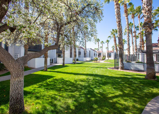 Grass Area at Townhomes on the Park in Phoenix Arizona
