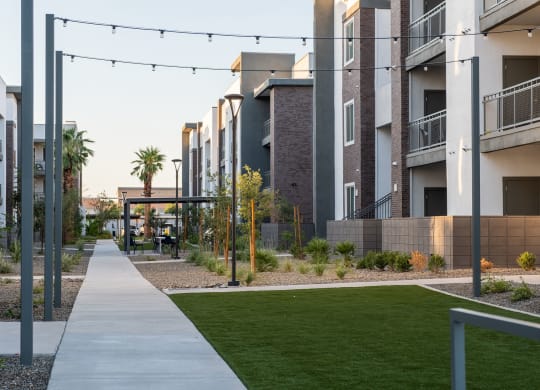 Grass Area in courtyard at The Aster at Mountain Vista in Mesa Arizona