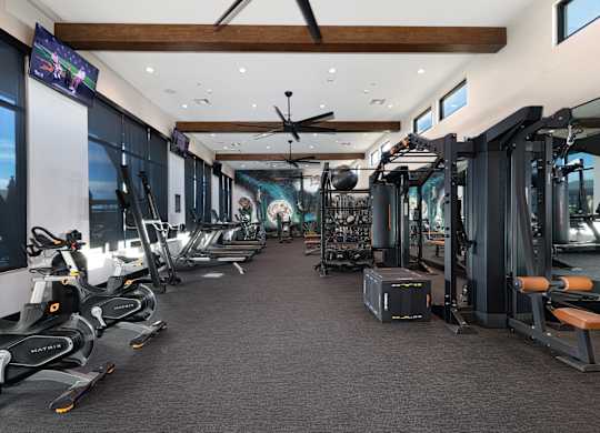 A gym with a variety of equipment including treadmills, stationary bikes, and weight machines.